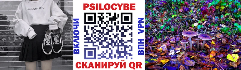 где можно купить   Стрежевой  МЕГА как зайти  Псилоцибиновые грибы ЛСД 